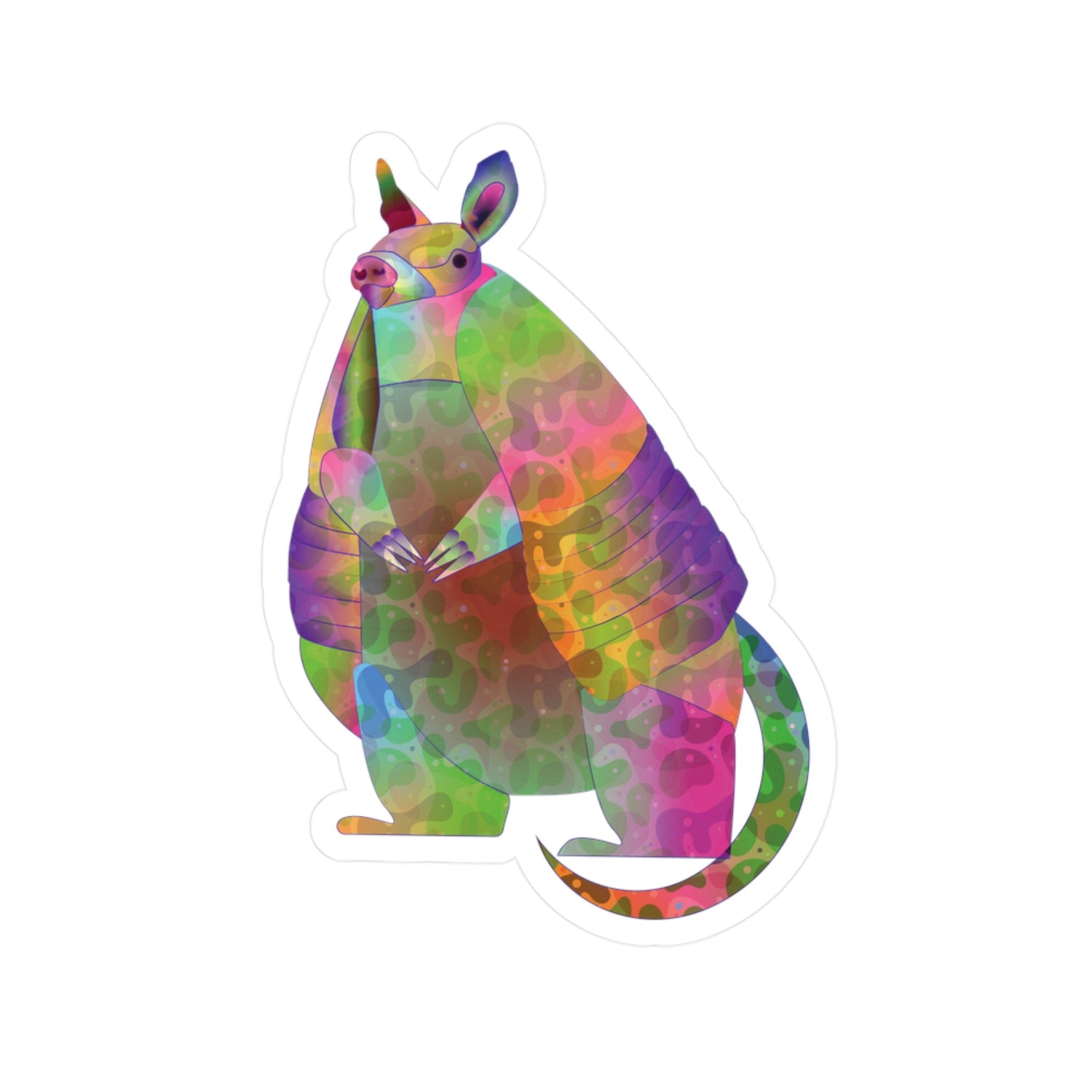 Rainbow Armadillo Collection