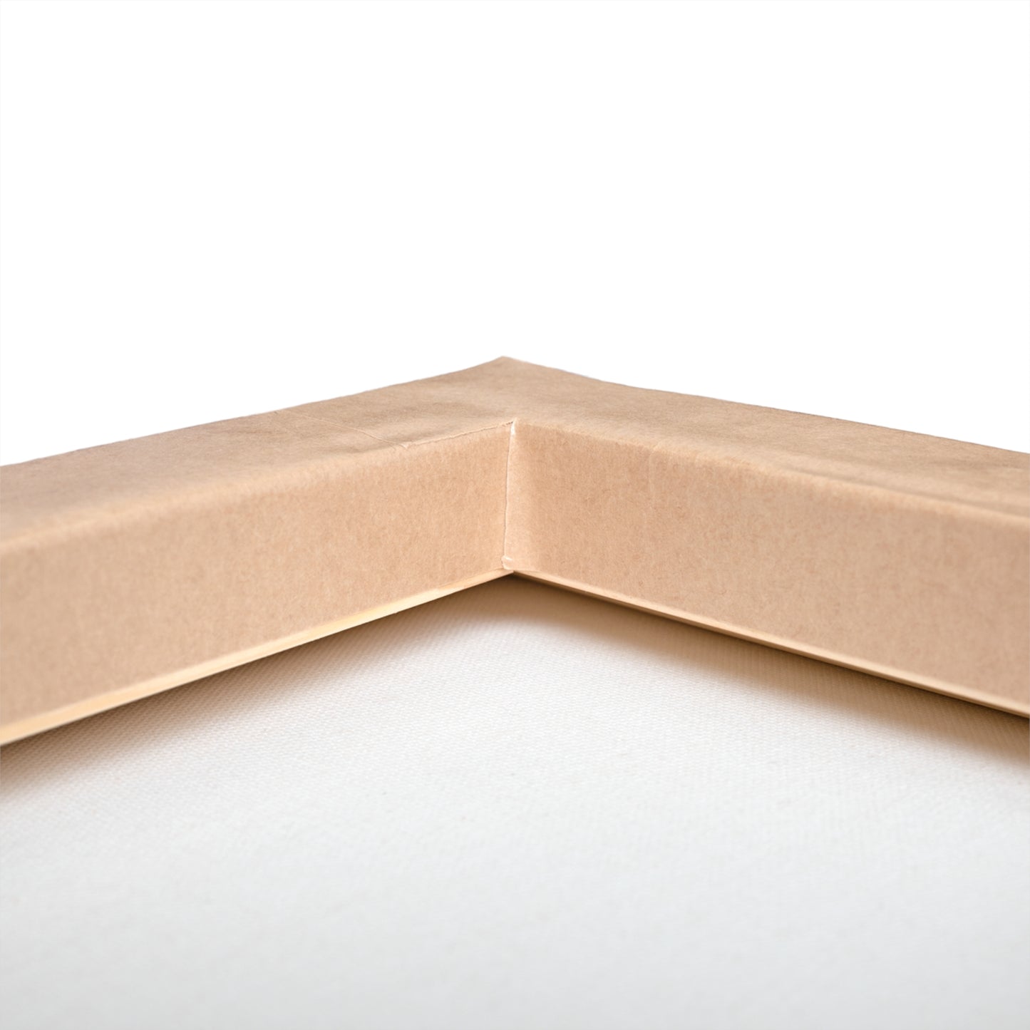 Nebulous Reproduction on Stretched Canvas